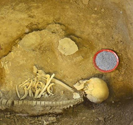 متحف عصر الحديد في تبريز: رحلة إلى مقبرة أثرية